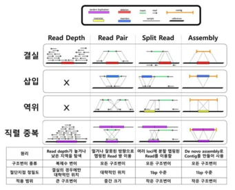 기존 구조변이 탐색 알고리즘의 한계점