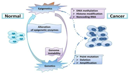 유전체 및 후성유전체 요인을 통한 암 발생 과정