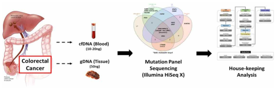 대장암 특이적 패널 시퀀싱의 개요