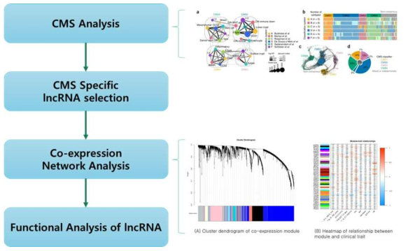 대장암 특이적 lncRNA 마커 확보 분석 모식도