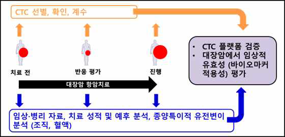 전이성 대장암 환자의 혈중종양세포 분석 연구 개요