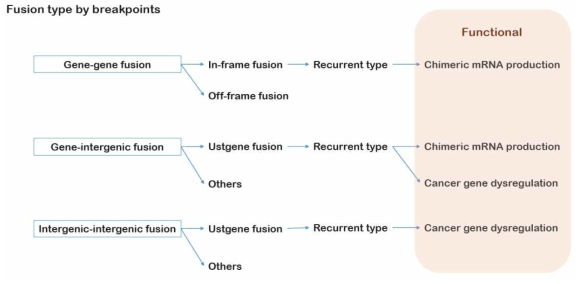 Fusion의 종류와 cancer gene에 미치는 영향