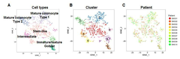 대장암 환자의 정상 상피세포 프로파일링. A. 각 셀 타입 결과. B. 정상 상피세포의 클러스터링 결과. C. 정상 상피세포의 환자군 컬러링 결과