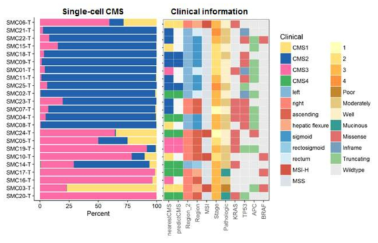 각 샘플별 대장 종양세포의 CMS 비율 프로파일링. 좌, 각 샘플별 대장 종양세포의 CMS비율 프로파일링; 우, 각 샘플별 임상정보 및 벌크 RNA-sequencing을 통해 도출된 샘플별 CMS 프로파일