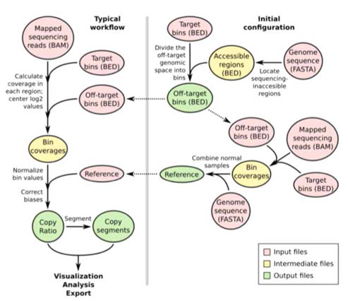 Copy number variation 콜을 위한 CNVkit pipeline