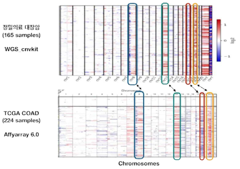 정밀의료 대장암 샘플과 TCGA 대장암 샘플의 CNV 패턴의 유사성