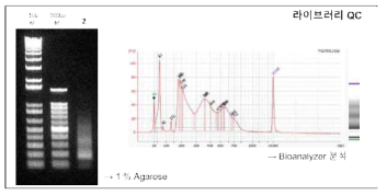 ATAC-seq 라이브러리의 QC 과정