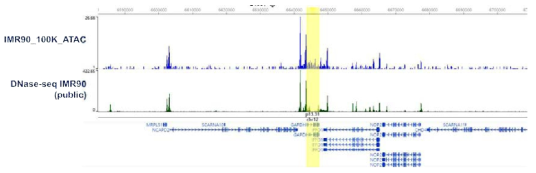 IMR90 ATAC-seq 결과와 publish된 DNase-seq 결과 비교 분석