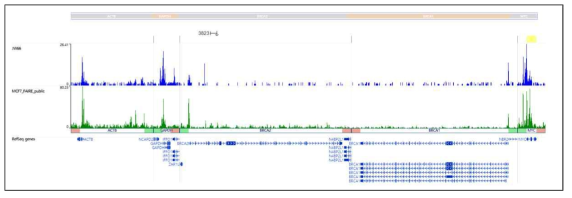 Cryopreserved 유방암 조직대상 ATAC-seq 실험 결과