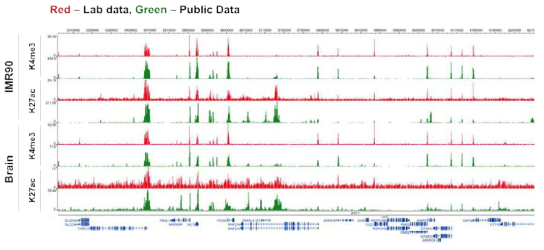 ChIP-seq 라이브러리 시퀀싱 결과 비교 분석