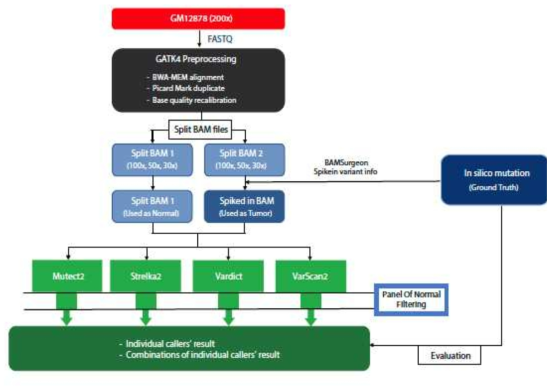 Somatic indel calling 검증 모식도