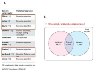 a. 각기 다른 통계처리를 하는 variant callers들 b. varscan2와 mutect2의 비교자료