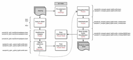 Whole Genome Sequencing 전처리 모식도