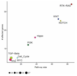 대장암 특이적인 변이들로부터 변화된 affected pathways