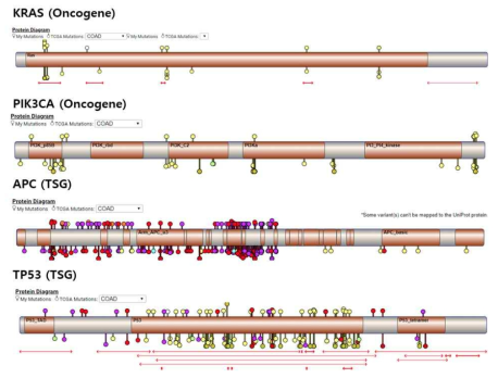 대장암의 cancer driver gene내서의 변이들. 아래 마커- TCGA데이터, 위 마커- 본 대장암 데이터 (노란색: missense mutation, 보라색: frameshift deletion, 빨간색: stopgain, 주황색: splice site)