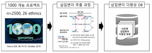 다민족 정상인구 삽입변이 추출 과정