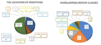삽입변이의 유전체 상 분포. 유전자 구조별(좌) 및 반복서열 별(우)