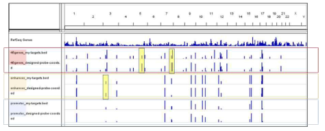 Integratvie genomics viewer(IGV)를 이용하여 프로브 디자인 결과