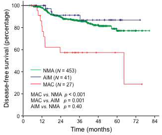 점액 선암에 따른 재발률의 차이. Lee at al. Brit J Cancer 2013 NMA, non-mucinous adenocarcinoma; AIM, adenocarcinoma with intermediate mucinous component; MAC, mucinous adenocarcinoma