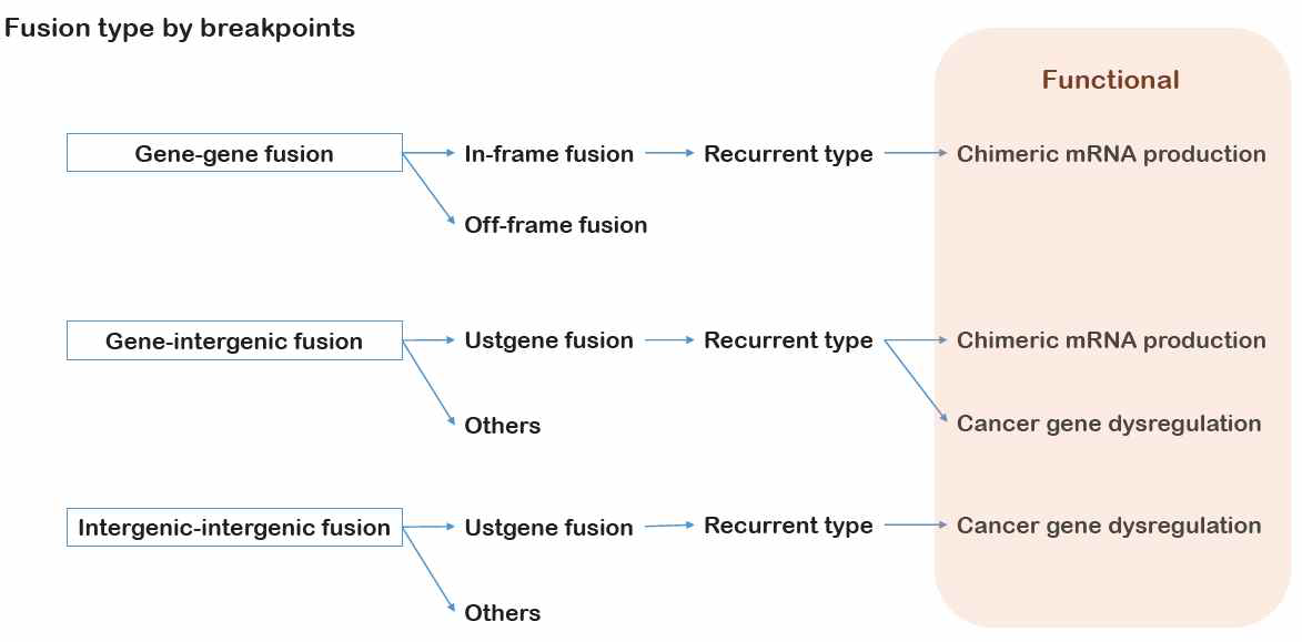 Fusion의 종류와 cancer gene에 미치는 영향