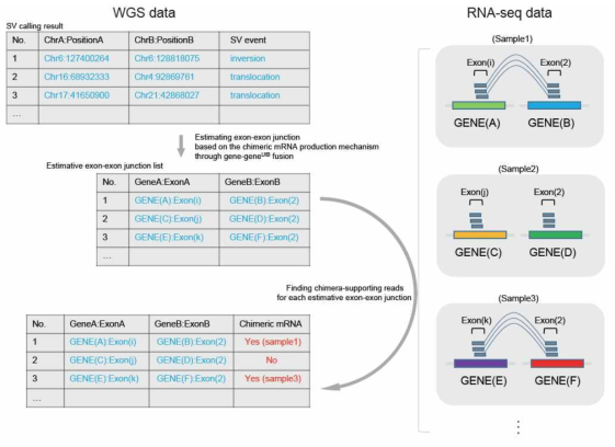 Fusion 종류에 따른 WGS와 WTS 데이터의 차이
