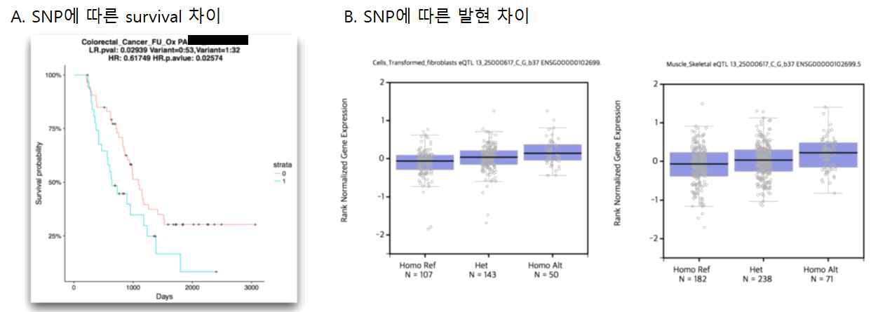 SNP에 따른 survival 차이와 gene expression level 차이