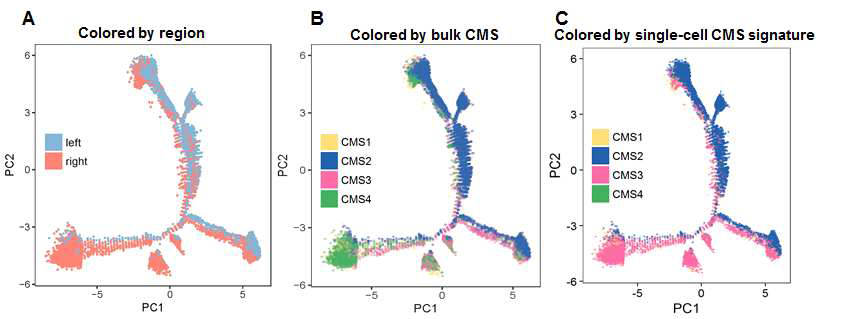 대장 종양세포의 Trajectory 분석. A, 각 구역 (좌, 우 구역) 컬러링 결과; B, 각 샘플별 CMS 서브타입 확인 결과; C, 각 단일세포별 CMS 추정 결과