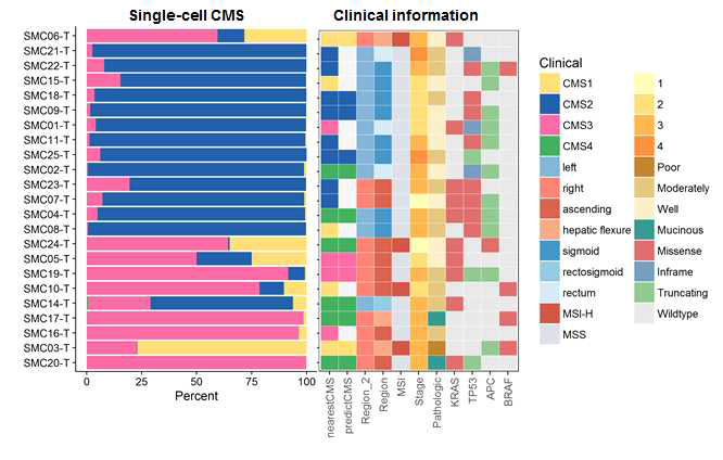 각 샘플별 대장 종양세포의 CMS 비율 프로파일링. 좌, 각 샘플별 대장 종양세포의 CMS비율 프로파일링; 우, 각 샘플별 임상정보 및 벌크 RNA-sequencing을 통해 도출된 샘플별 CMS 프로파일