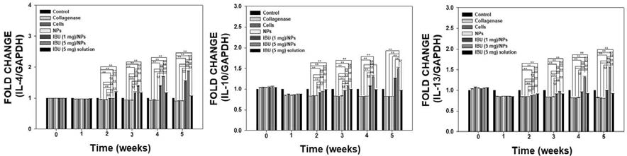 아킬레스건염 동물모델에서 콜라게네이즈 주입 1주부터 5주 및 실험군 주입 1주부터 4주에 매주 혈액을 분리하여 항 염증성 사이토카인(IL-4, IL-10 및 IL-13)의 mRNA 발현 수준