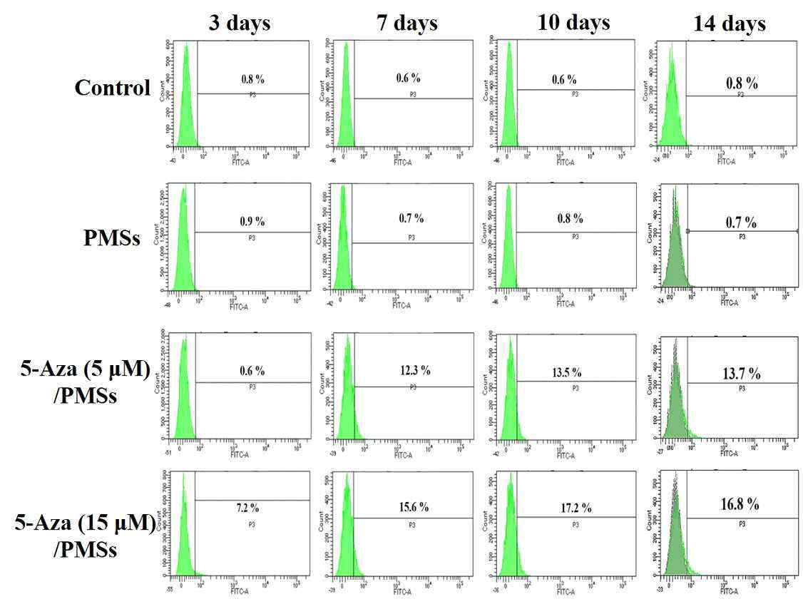 유세포분석기(FACS)를 이용하여 PMSs 및 5-Aza/PMSs에서 3, 7, 10, 및 14일 간 지방유래줄기세포를 배양하여 유도만능줄기세포 마커(TRA-1-60) 확인