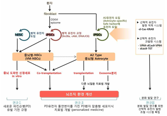 본 연구의 개략도