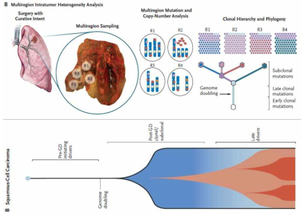 암유전체의 변화 도식도 (Jamal-Hanjani et al., 2017, NEJM)