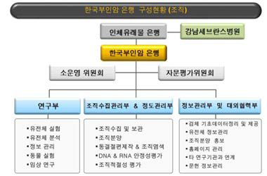 한국부인암은행 조직도