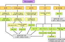 한국부인암은행 검체 수집 방법 및 보관