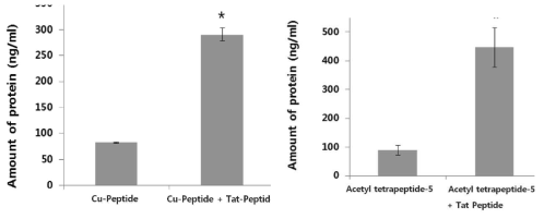 Cu-Peptide, Acetyl tetrapeptide-5의 약물전달 증진 효과