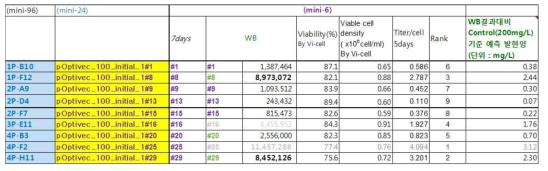 pOptivec-HAPLN1와 CHO-S 세포 만든 initial pool 1 그룹 정보