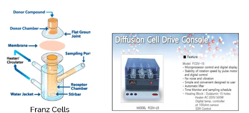 경피흡수량 측정방법(Franz Cell)