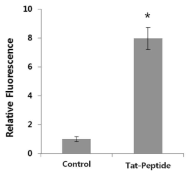 Tat-Peptide의 자체 경피 흡수 시험