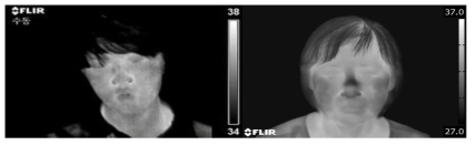 1차년도에 사용한 FLIR P20 열화상 카메라 수집영상(좌)과 2차년도에 새로 도입한 FLIR T620 열화상 카메라 수집영상(우)