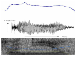 음성에서의 다양한 특징점 추출(Pitch, Energy, Jitter and Shimmer)