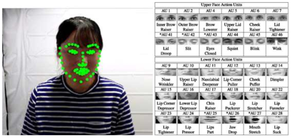 Hourglass Network를 이용하여 추출한 가시영상의 face landmark가 68점(좌)과 추출한 face landmark를 조합하여 얻을 수 있는 Action unit 예시(우)