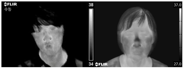 1차년도에 사용한 FLIR P20 열화상 카메라 수집영상(좌)과 2차년도에 새로 도입한 FLIR T620 열화상 카메라 수집영상(우)