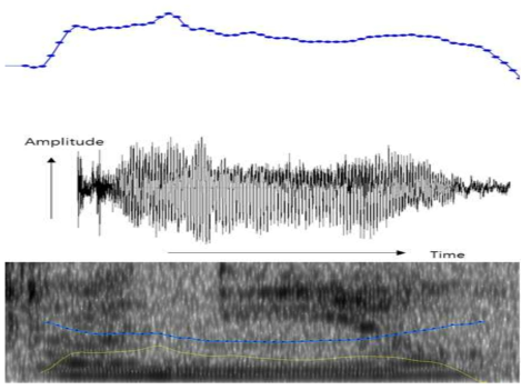 음성에서의 다양한 특징점 추출(Pitch, Energy, Jitter and Shimmer)