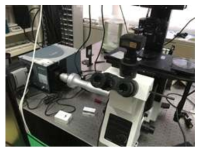 나노입자 형광특성 측정용 분광현미경