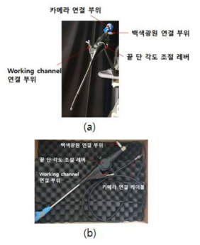 제작 구성한 2종 내시경;(a) fiberscope 기반 내시경, (b) 전자내시경