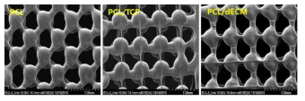 3D프린팅 기기를 이용하여 well 교차 지점이 둥근 형태로 제작한 인공지지체의 SEM 관찰 모습