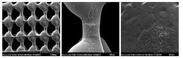 PCL로 제작한 인공지지체의 표면을 dECM을 이용하여 코팅한 인공지지체의 SEM 결과