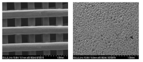 PCL로 제작된 인공지지체(왼쪽)와 Ti으로 제작된 인공지지체(오른쪽)의 SEM 결과