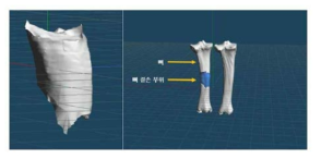 3D프린팅 소프트웨어를 이용하여 인공지지체를 3D 모델링하여 적용하였음