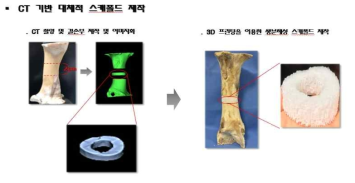 우족의 CT 데이터를 기반으로 결손부위를 3D 모델링한 후, 생분해성 소재 3D프린팅 하여 맞춤형 인공지지체를 제작함